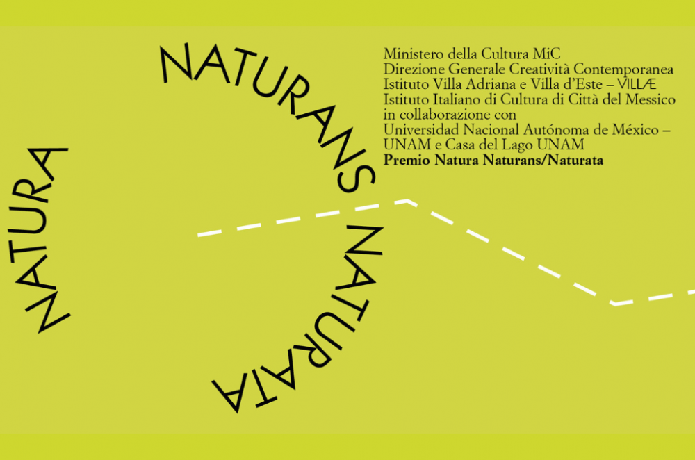 Immagine grafica per il Premio Natura Naturans/Naturata - Messico